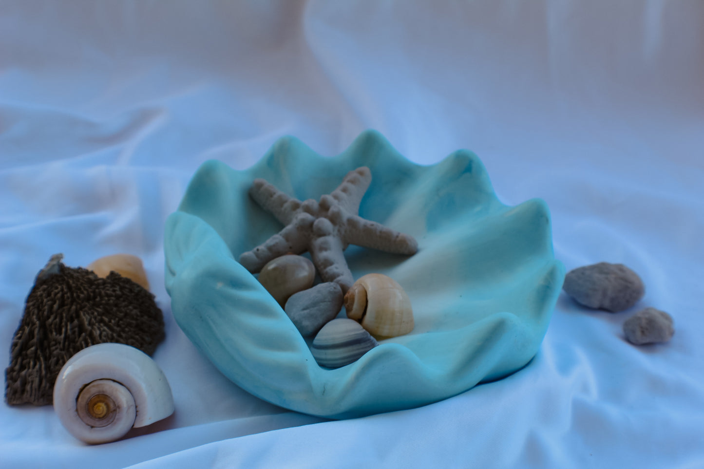 Svuotatasche Conchiglia