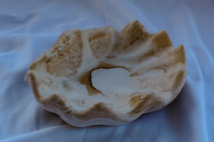 Svuotatasche Conchiglia