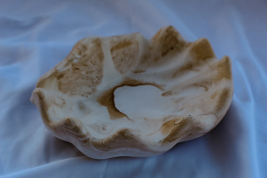 Svuotatasche Conchiglia