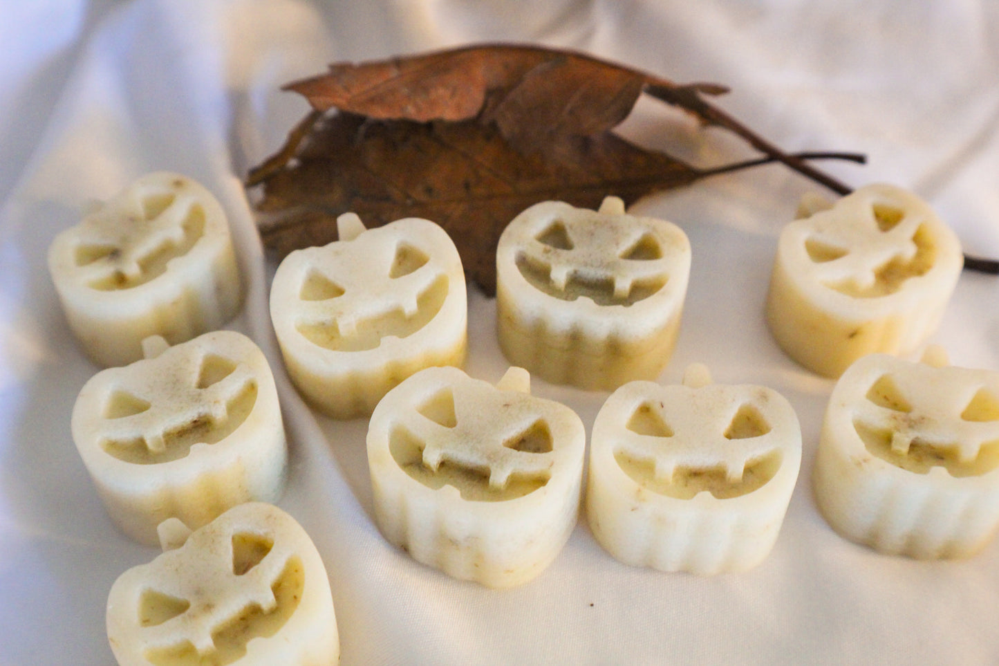 Cialde Profumate Zucca